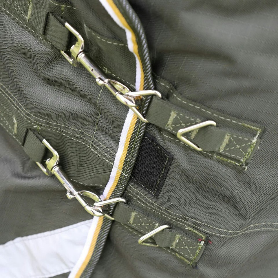 image 1 of Highlander Plus Standard-Neck 50g Horse Turnout Rug - Green - 5´ 6"