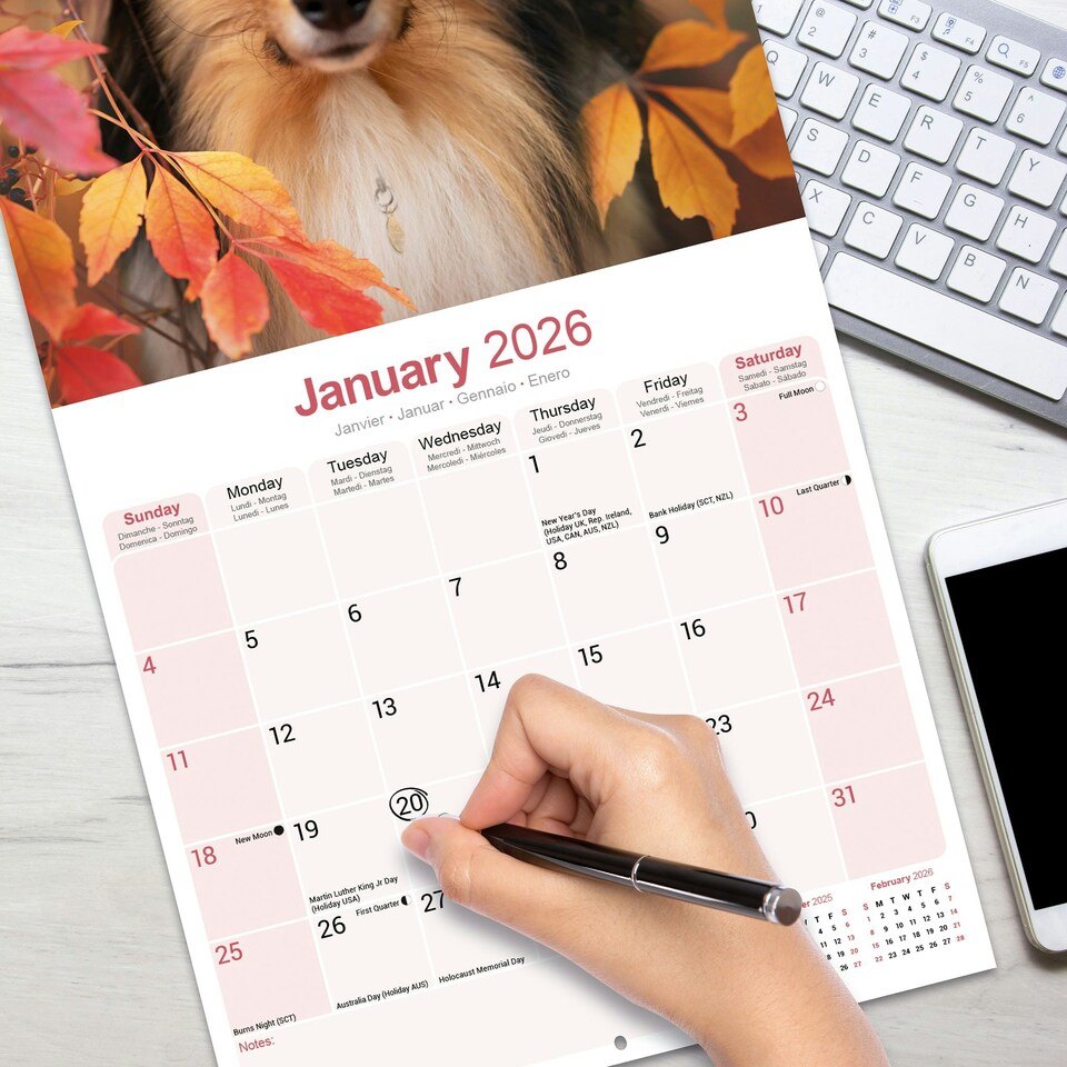 image 1 of Collie 2026 Calendar | Square Wall Calendar | Dog Breed Gift | Plastic Free Packaging | by Avonside Publishing