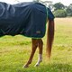 image 6 of Gallop Equestrian Trojan Lite Weight Combo Turnout Green | Size: 5ft 6
Colour: Navy/Green