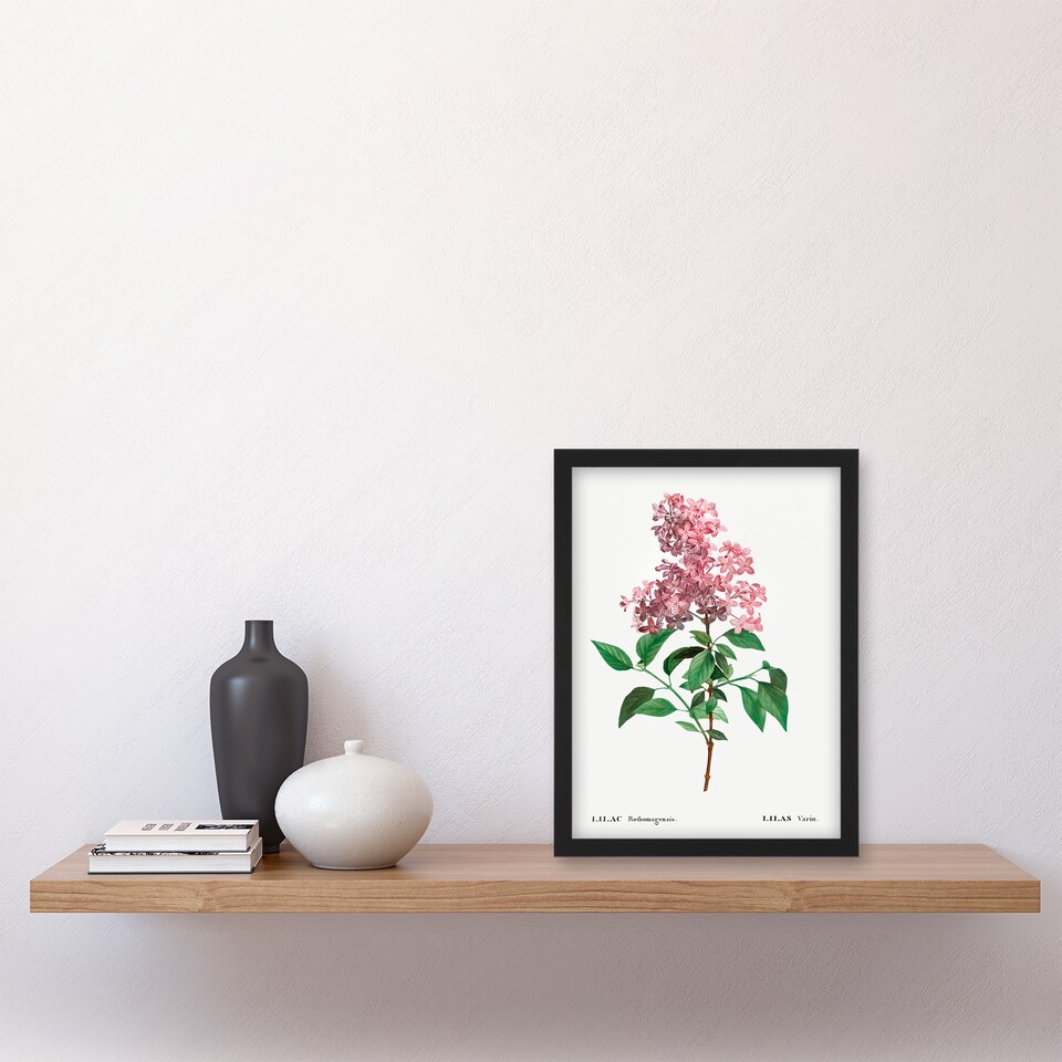 image 1 of Redoute Framed Wall Art Chinese Lilac Vintage Floral Illustration Home Décor