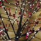 image 4 of 180cm 6ft Christmas Lit Black Twig Tree Red Berry 600 Warm White LED