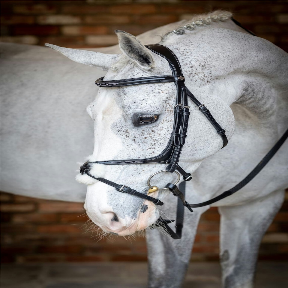 image 1 of LeMieux Grackle Bridle Black | Full