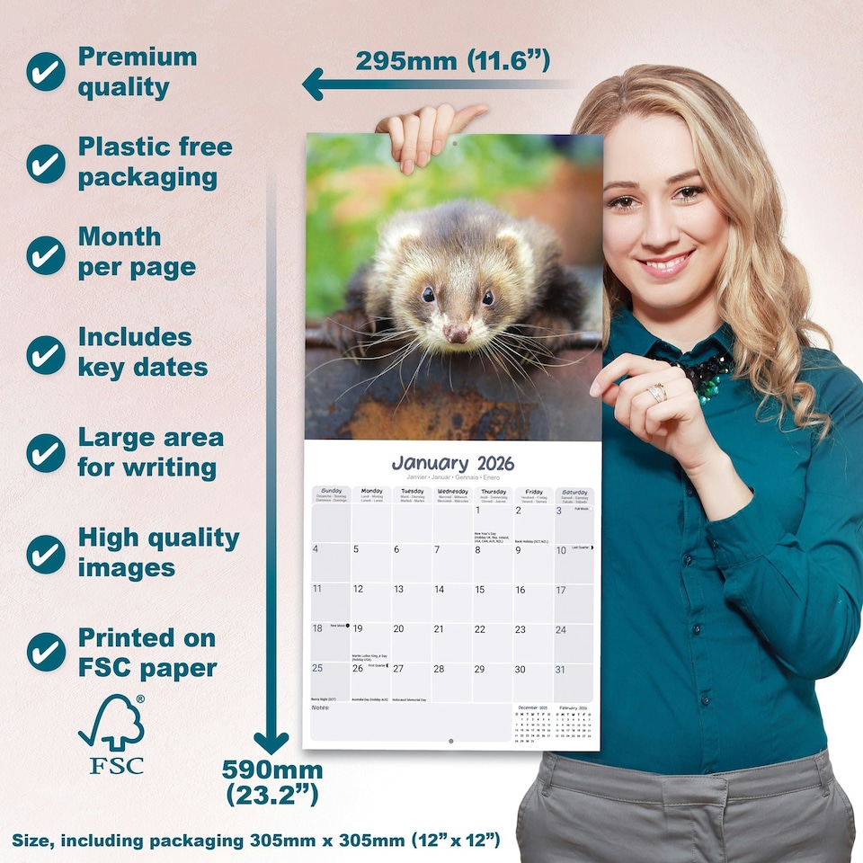 image 1 of Ferrets 2026 Calendar | Square Wall Calendar | Animal Gift | Plastic Free Packaging | by Avonside Publishing