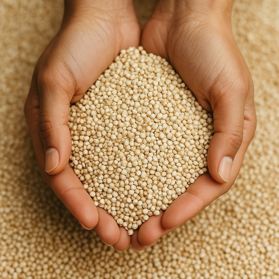 image 1 of Organic Quinoa Grain 500g (Sussex Wholefoods)