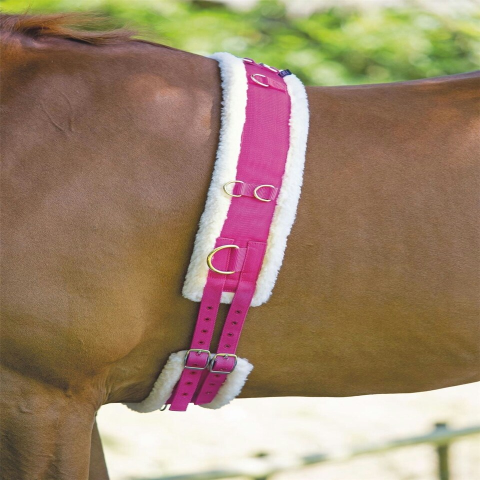 image 1 of Shires Nylon Roller With Fleece Padding Black | Size: Full
Colour: Black