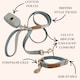 image 2 of Luxury Blue Tweed Dog Walking Set - 3 Piece