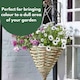 image 6 of Marco Paul Cone Hanging Planter 14" Brown