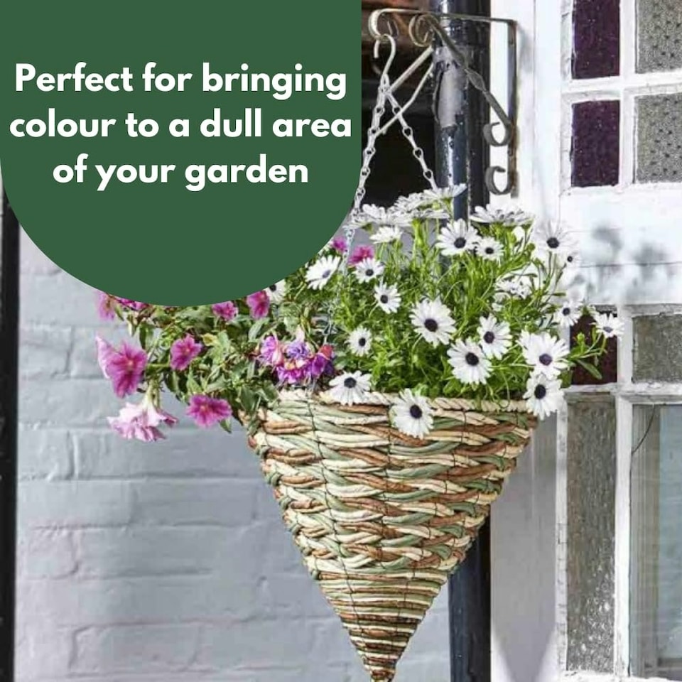 image 1 of Marco Paul Cone Hanging Planter 14" Brown