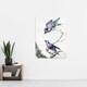 image 4 of Blue Jay and a Purple Breasted Cotinga Schouman Wall Art Poster Print 24X32"