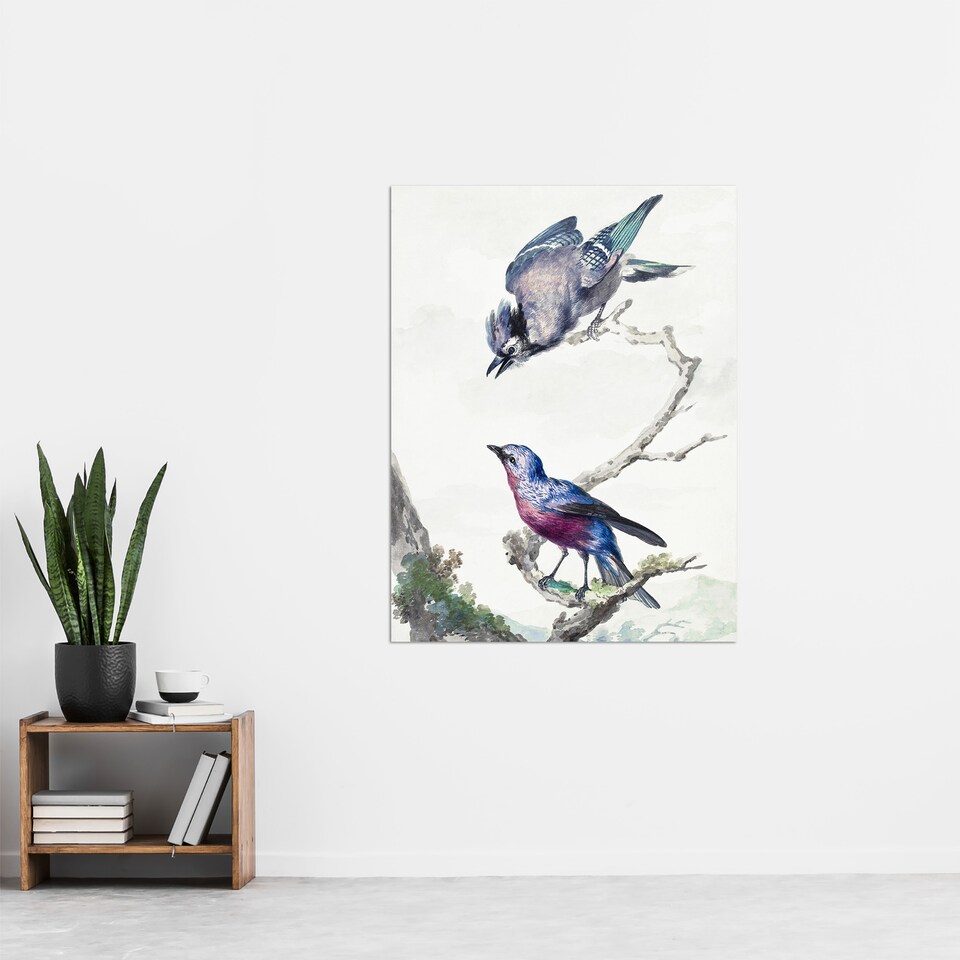 image 1 of Blue Jay and a Purple Breasted Cotinga Schouman Wall Art Poster Print 24X32"