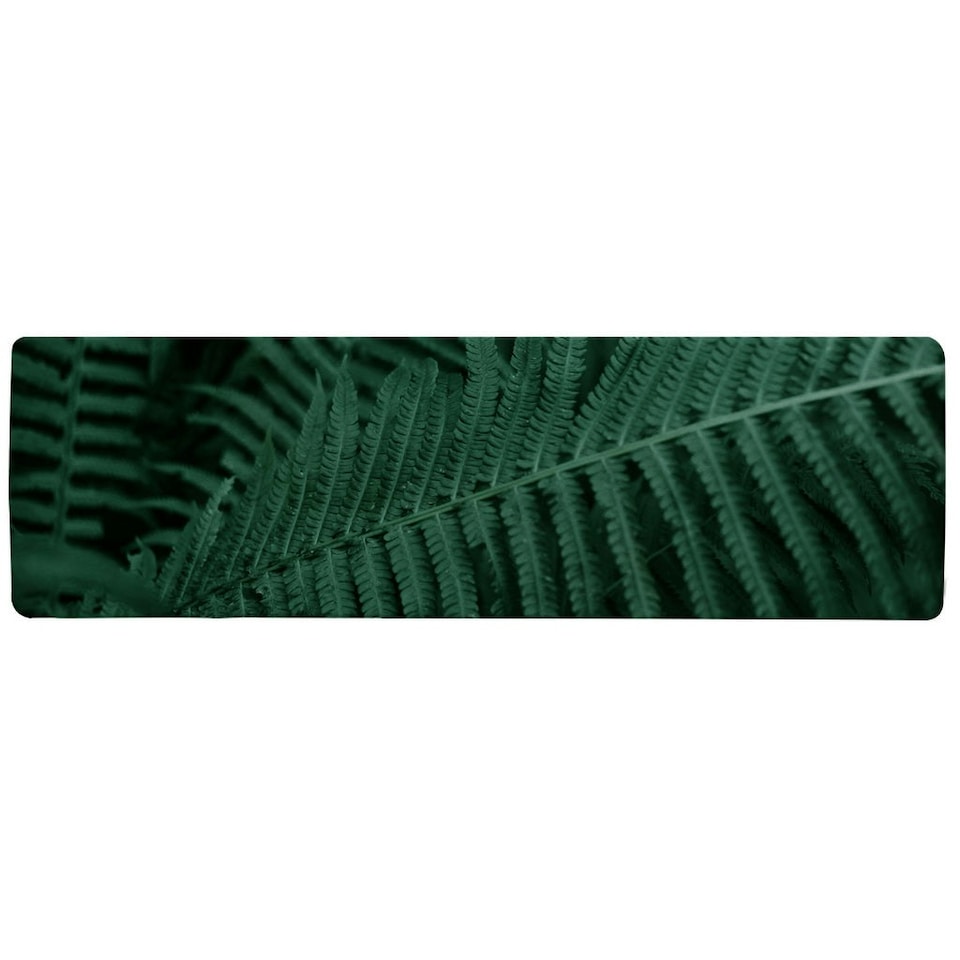 image 1 of Deep green fern leaves texture. Fern in the forest. Plants background. Biophilia trend Designer (Runner Rug)