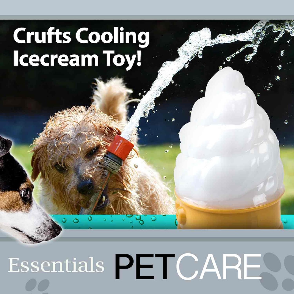 image 1 of Crufts Cooling Dog Toy - Freezable, Chew-Resistant Summer Toy