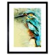 image 1 of Kingfisher Bird Painting Bathroom Home Decor 12x16" Framed Wall Art Print
