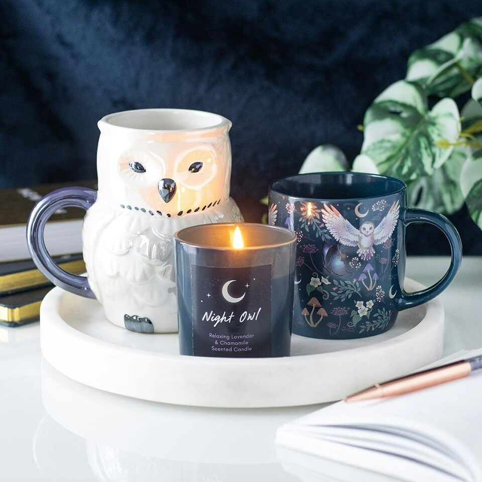 image 1 of Ceramic Night Owl Mug 320ml