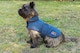 image 2 of DarkTweed Dog Coat Navy - Small