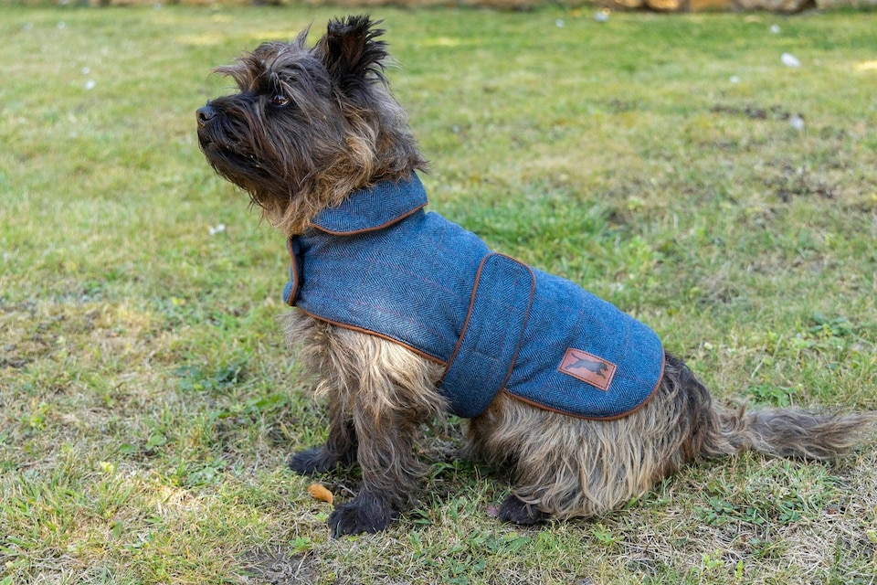 image 1 of DarkTweed Dog Coat Navy - Small