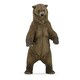 image 1 of PAPO Wild Animal Kingdom Grizzly Bear Toy Figure