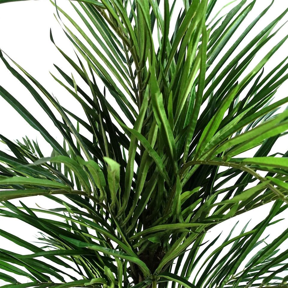 image 1 of Areca Palm Artificial Tree 130cm  - Realistic plant by Botanik | Green | 4ft