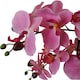 image 2 of Artificial Orchid with Glass Planter Pink Botanik
