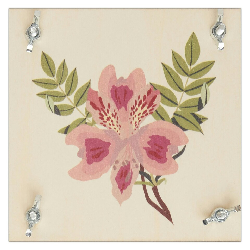 image 1 of RHS Flower Press Kit, Multicoloured, Single Craft Kit