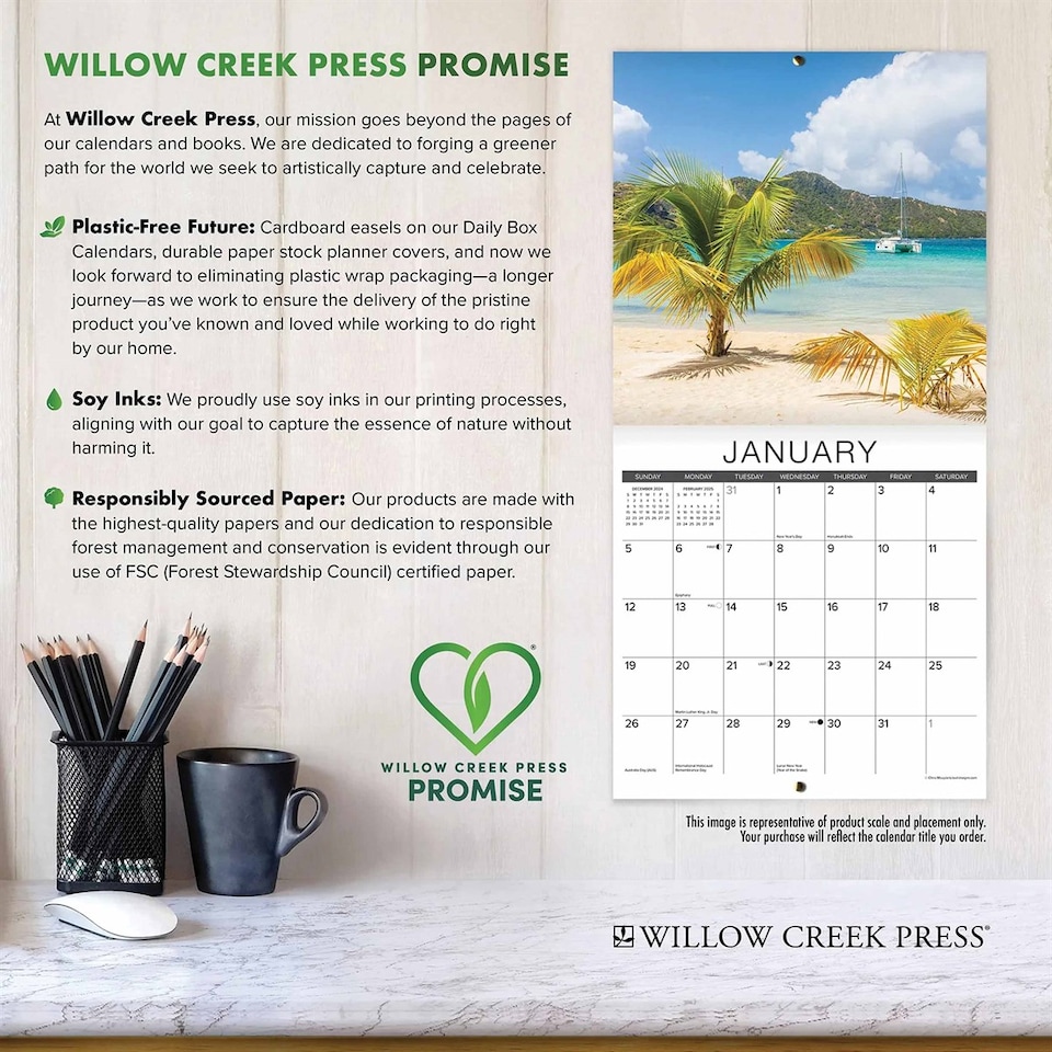image 1 of Just Tabby Cats Calendar 2026, Wall Calendars, Month To View, Cats, Gift