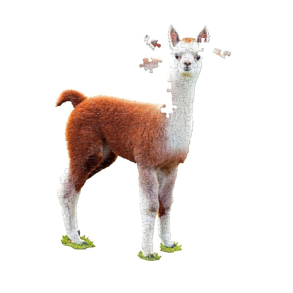 image 1 of Madd Capp I Am Lil 'Lama 100 Piece Jigsaw Puzzle