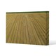image 1 of straw bales of wheat lying on harvested field (Canvas Print)