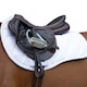 image 2 of Coldstream Edrom Horse Saddlepad - White - Pony/Cob
