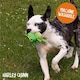 image 5 of Rosewood Flingerz Frog Throw Toy