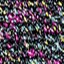 Col 2570