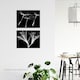 image 3 of Set of 2 Dandelion Lily X-Ray Bedroom Bathroom Black White Photo Wall Art Print A4