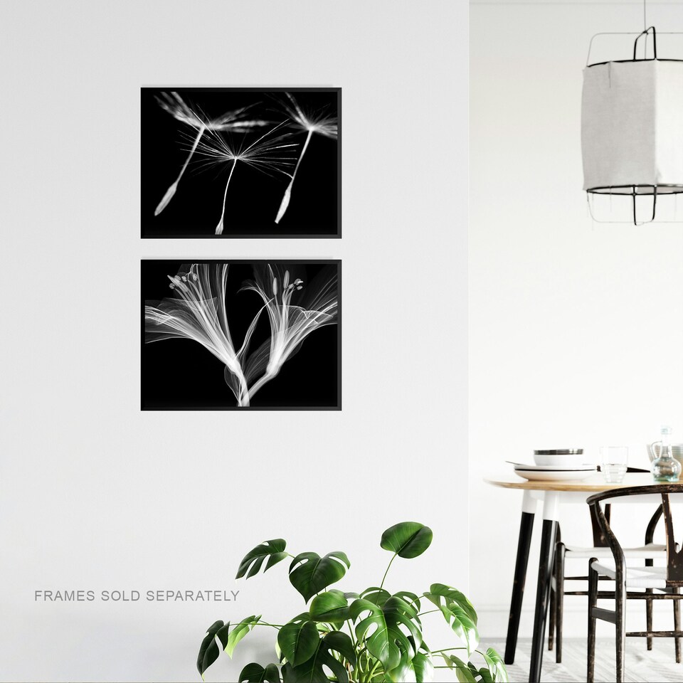 image 1 of Set of 2 Dandelion Lily X-Ray Bedroom Bathroom Black White Photo Wall Art Print A4