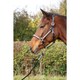 image 2 of Hy Rosciano Horse Leadrope - Black/Rose Gold - One Size