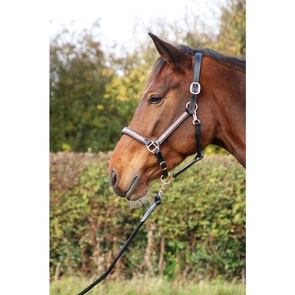 image 1 of Hy Rosciano Horse Leadrope - Black/Rose Gold - One Size