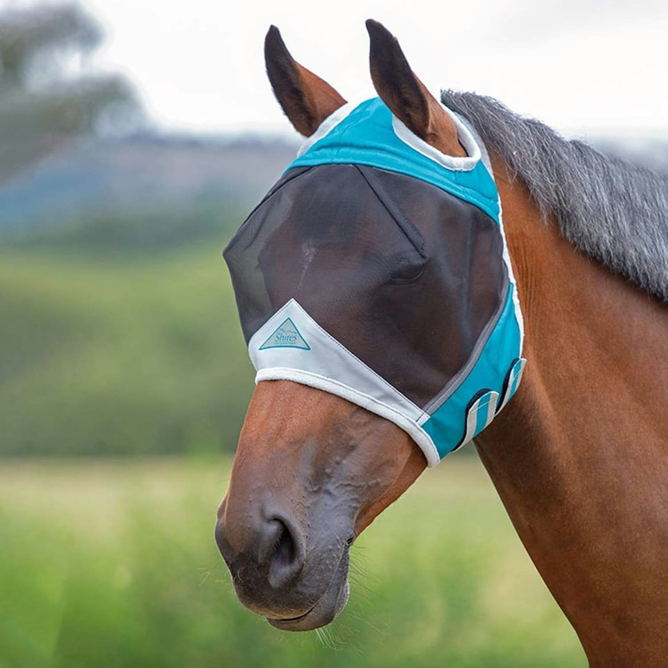 image 1 of Shires Fine Mesh Ear Holes Horse Fly Mask - Teal - Small Pony