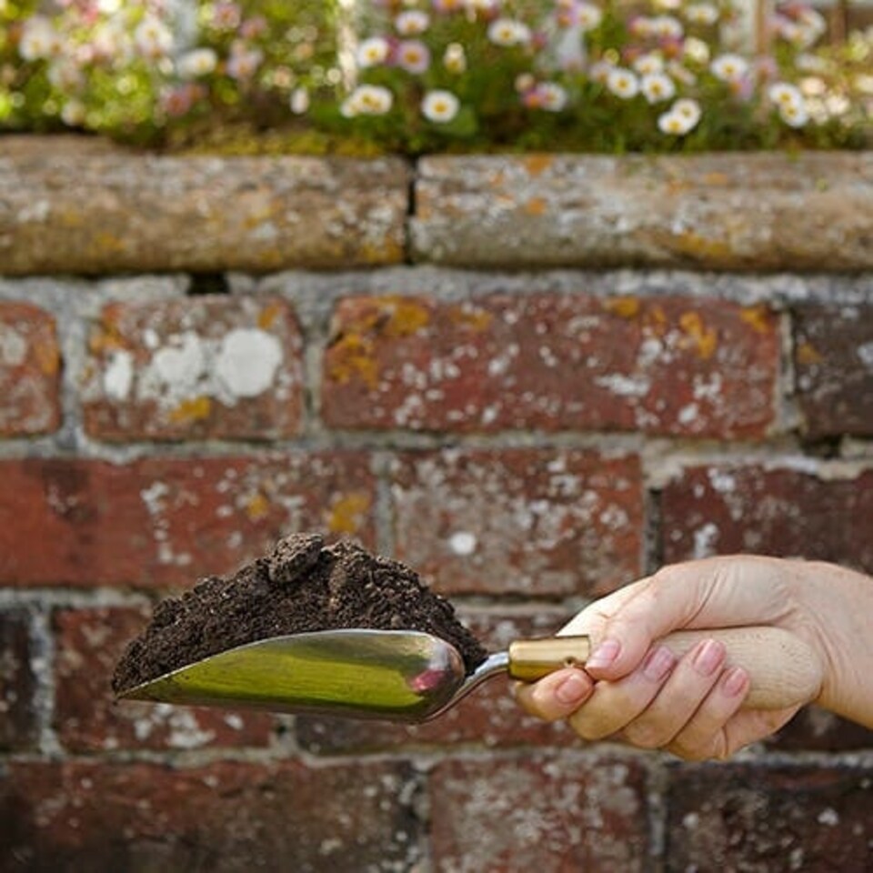 image 1 of Burgon & Ball Sophie Conran Trowel Gift Boxed
