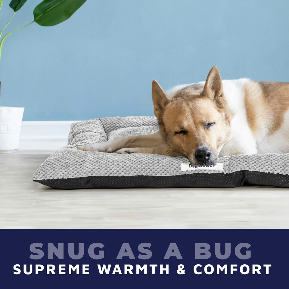 image 1 of DogCrates+ Small Washable Pillow Dog Bed – Soft Crate Mat with Anti-Slip Bottom for Puppies, Dogs & Cats – Grey Grey | S