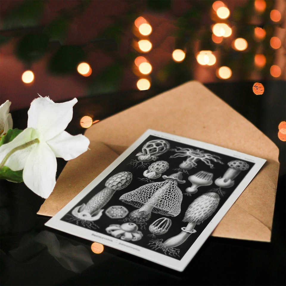 image 1 of Ernst Haeckel Art Card Basimycetes Fungi Species Vintage