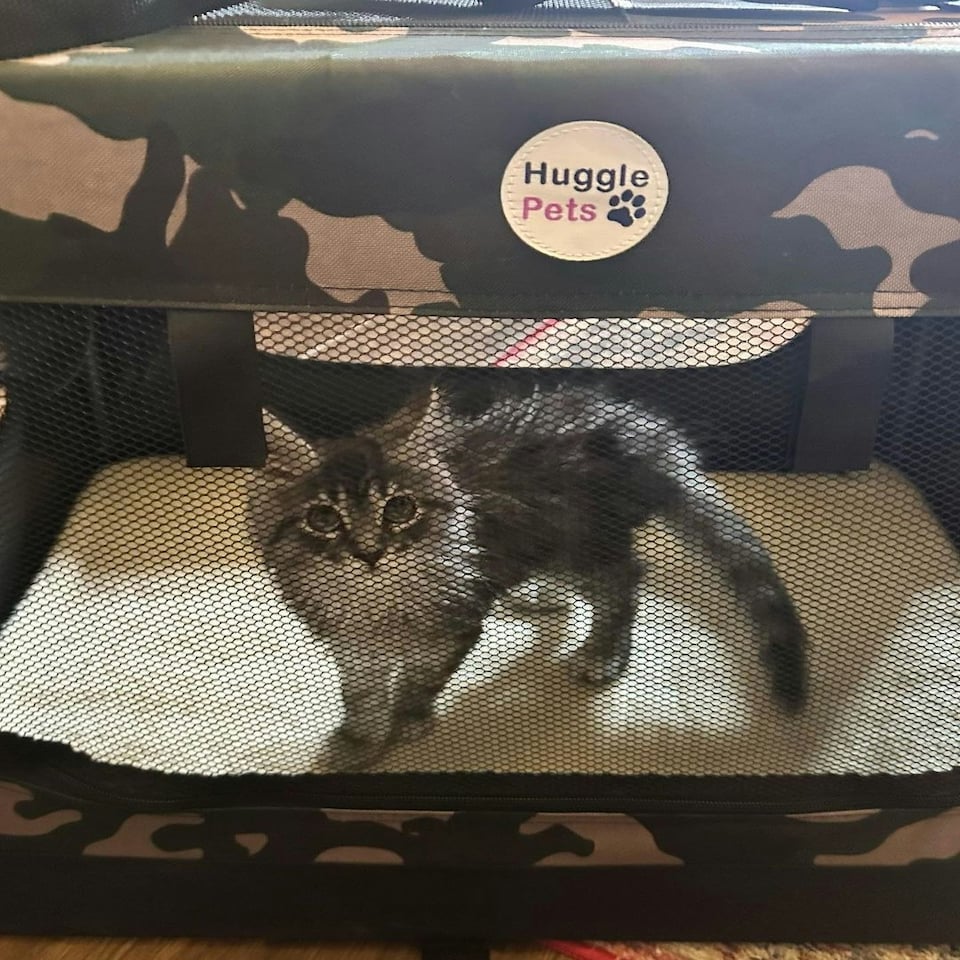 image 1 of HugglePets Fabric Crate Foldable Pet Carrier | Black | XL