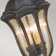image 3 of Baton Rouge 4 Light Outdoor Ceiling Chain Lantern Walnut IP44, E14