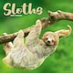 image 1 of Sloths 2026 Calendar | Square Wall Calendar | Animal Gift | Plastic Free Packaging | by Avonside Publishing