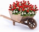 image 1 of GARDEN MODERN WOODEN WHEEL BARROW PLANTER BURNT WOOD FLOWER CART ORNAMENTAL POT
