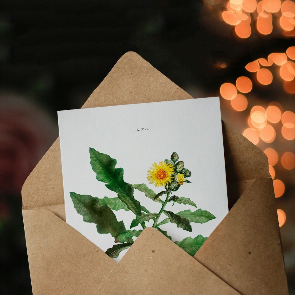 image 1 of Pierre-Joseph Redouté Art Card Sow Thistle Flower Bloom