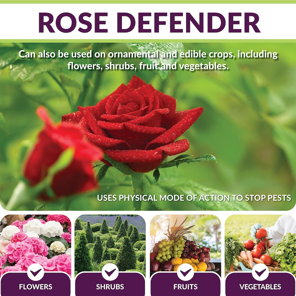 image 1 of Karlsten 3-in-1 Rose Protection Spray | Kills Aphids, Whiteflies & Spider Mites | Prevents Powdery Mildew, Black Spot & Fungal Diseases | Rose Feed & Plant Tonic for Stronger, Healthier Growth