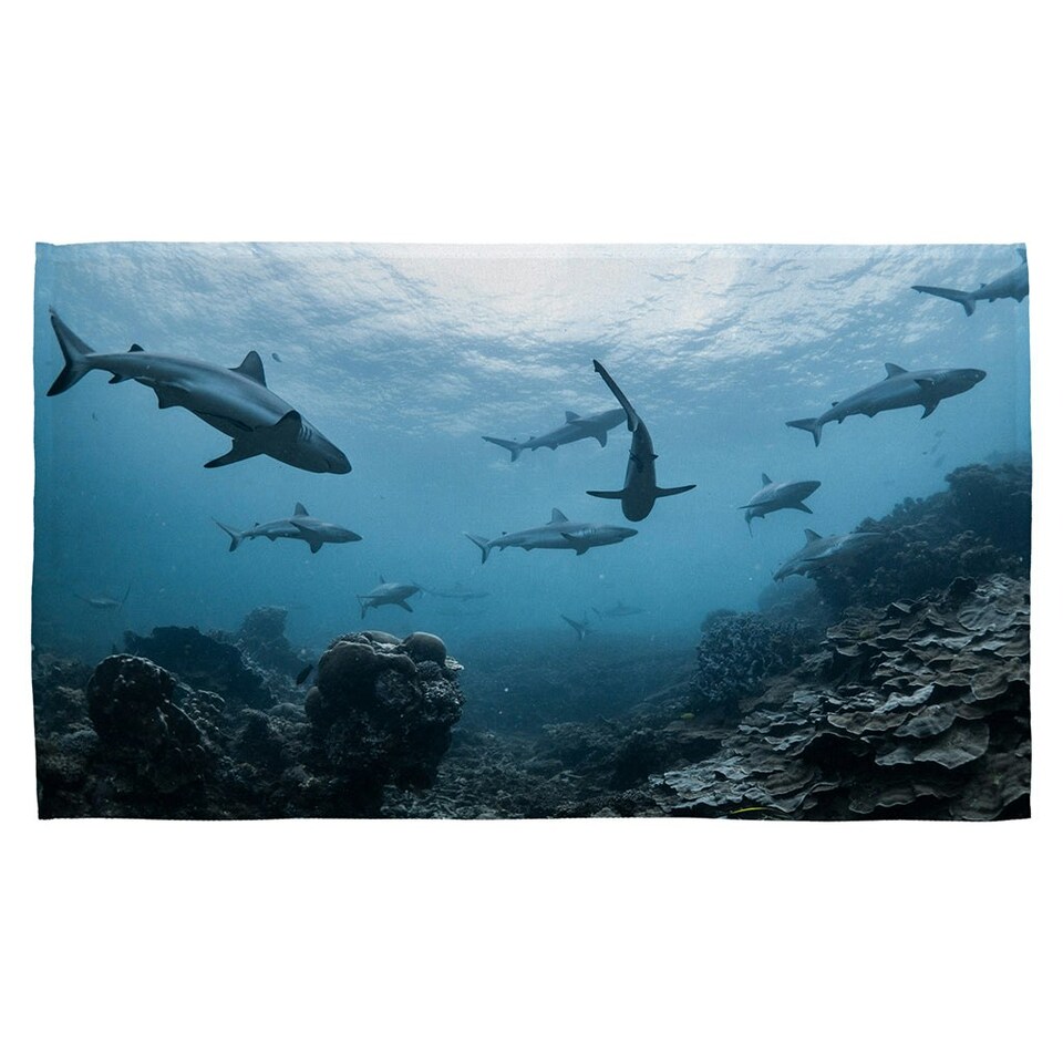 image 1 of Schooling grey reef sharks, Ningaloo reef, Western Australia (Kitchen Towel)