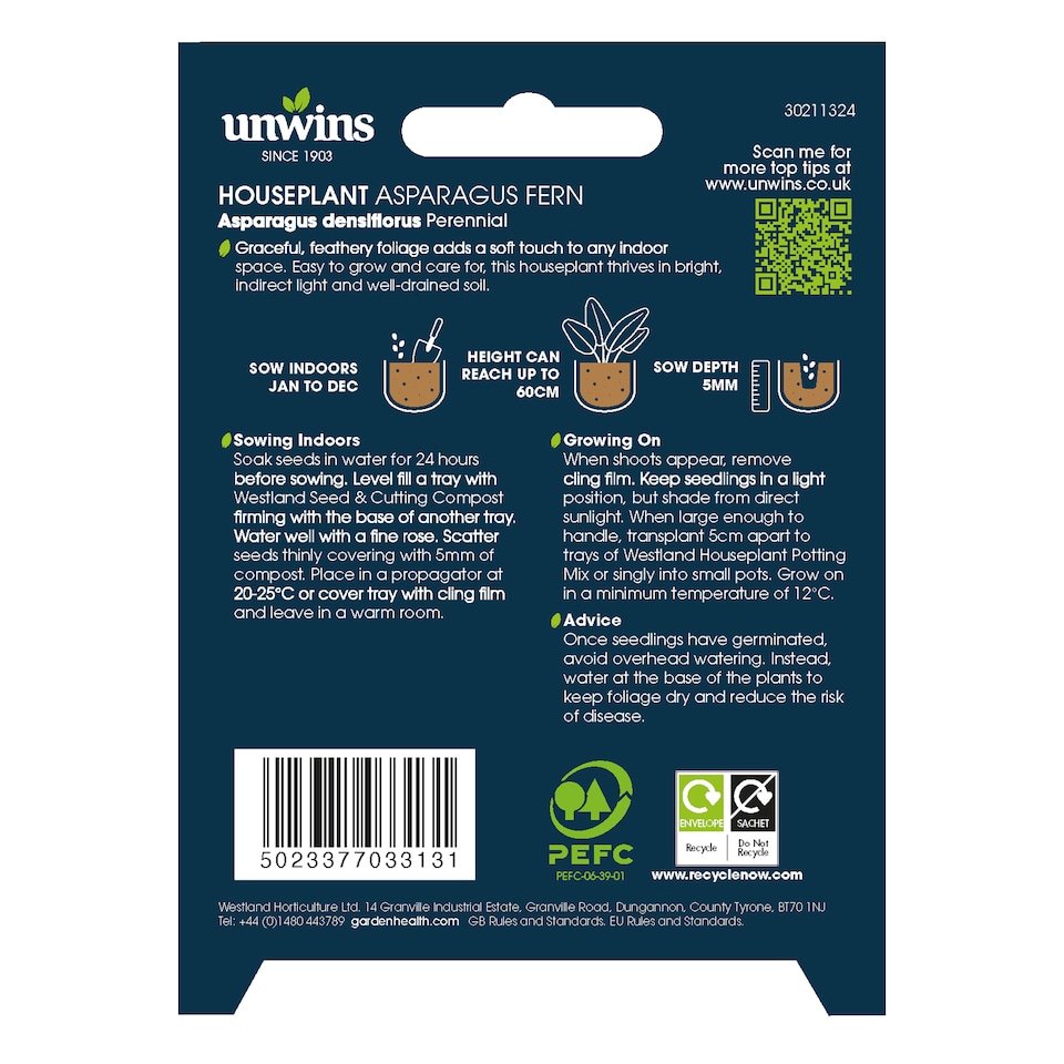 image 1 of Houseplant Asparagus Fern | Multi | Green | Seeds | 1