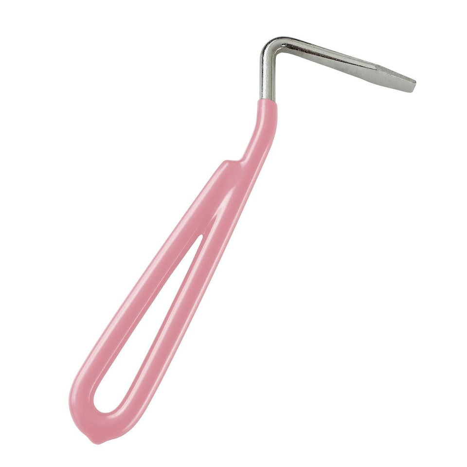image 1 of Bitz Hoof Pick Metal - Pink