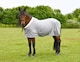 image 5 of Rhinegold Show Fleece | Grey | Size: 6ft 6
Colour: Grey