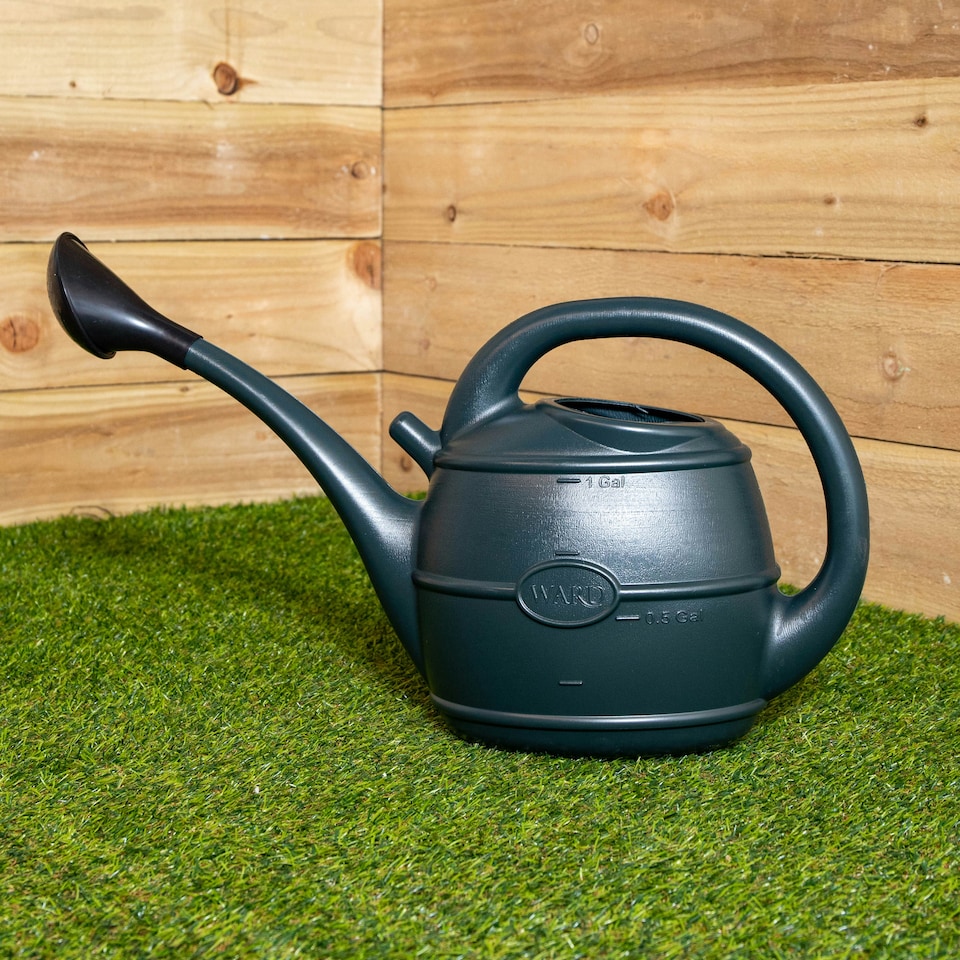 image 1 of 5L Garden Patio Ward Watering Can with Rose in Green