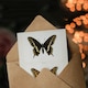 image 3 of Sherman Denton Art Card Black Swallowtail Butterfly